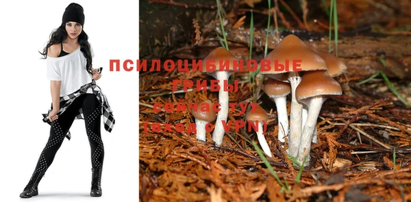 дмт Бронницы