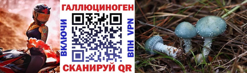Галлюциногенные грибы прущие грибы Бийск